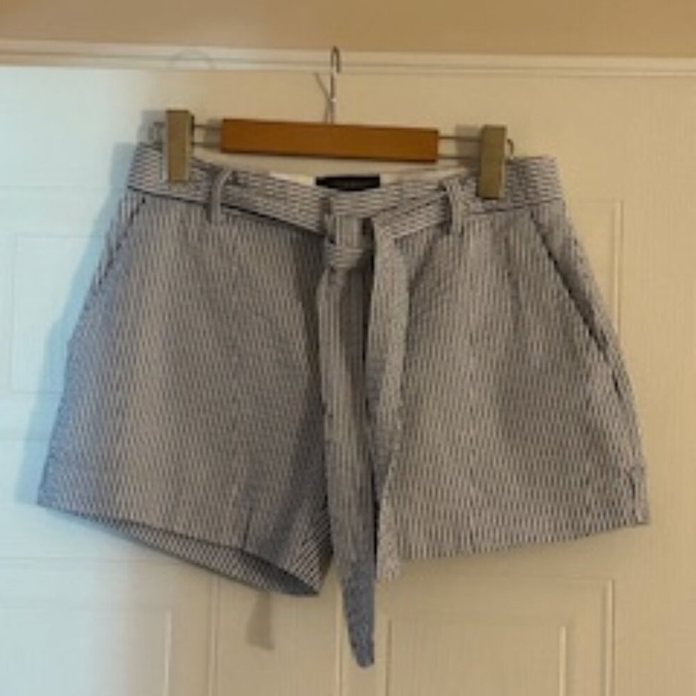 Banana Republic Light Gray Striped Shorts – Size 2